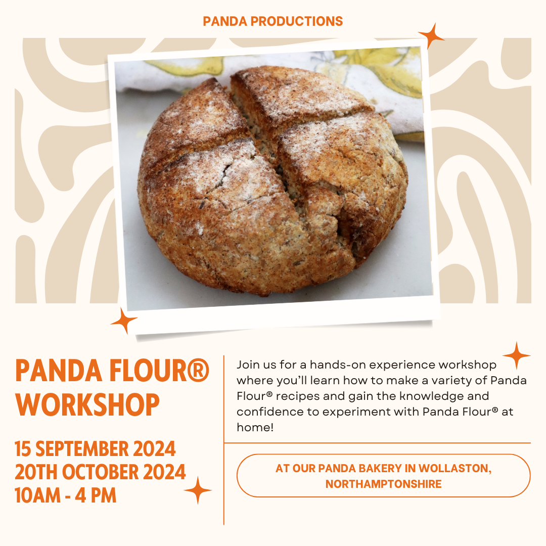 Panda Productions Workshop